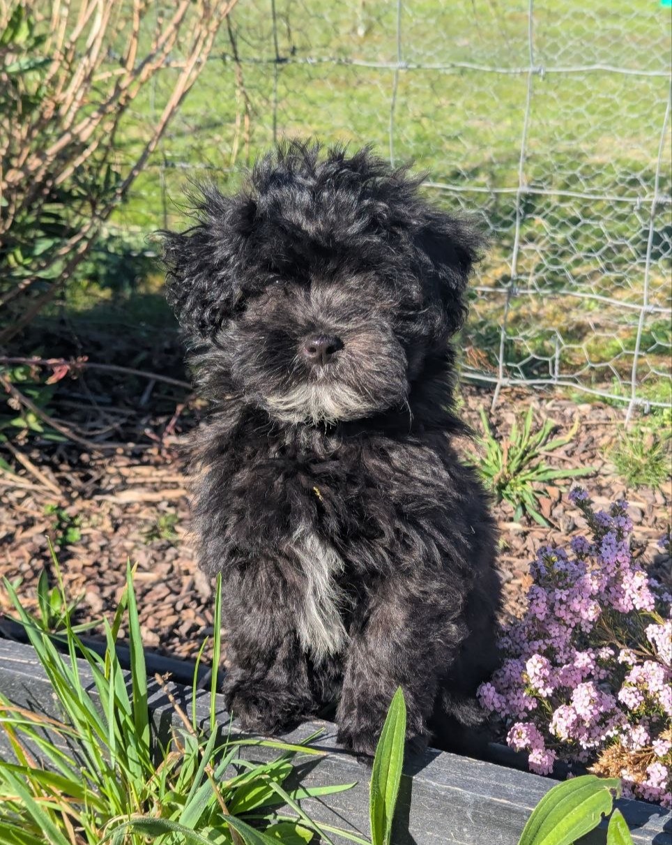 Portrait of Lilo