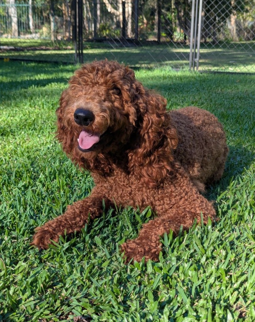 Portrait of Winnie